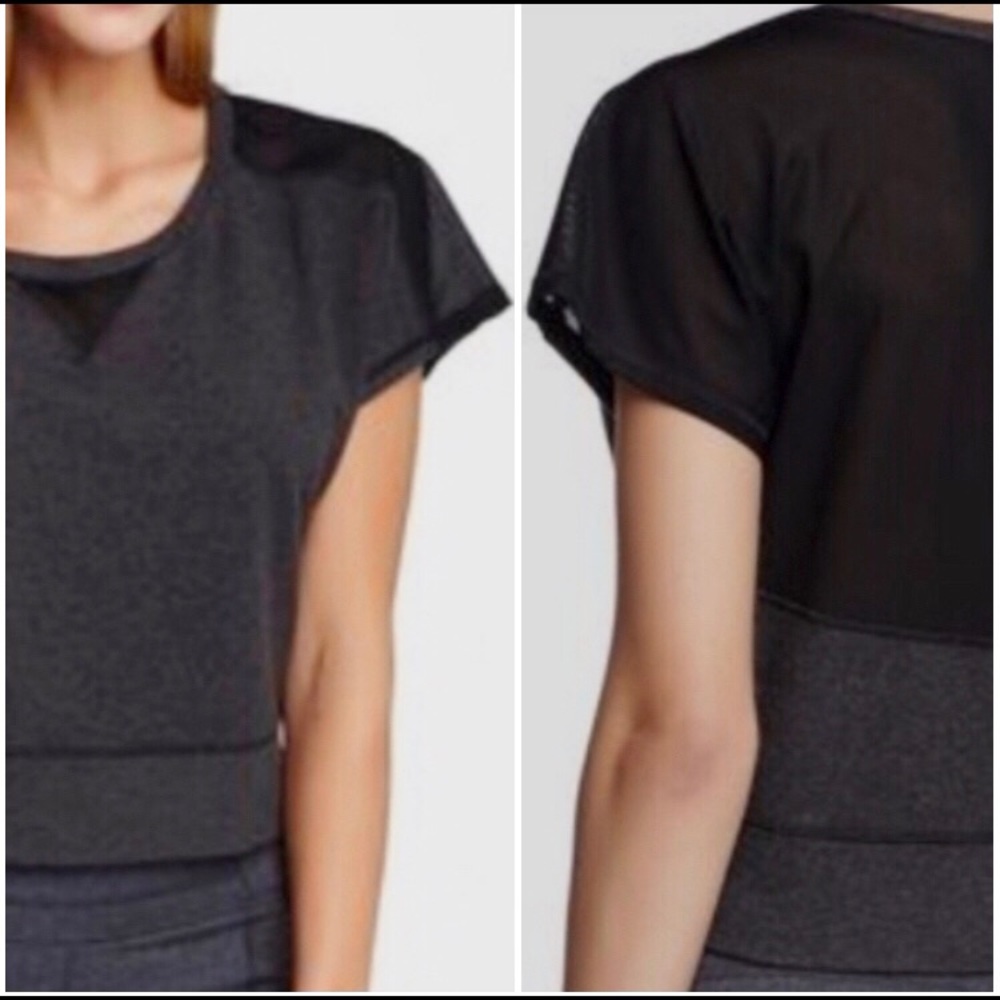 Lucy gray and black mesh back knit crop top-small